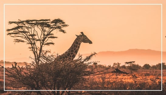 18 Best Highest Mountains To Climb In Africa For Beginners 13 Countries Climb Tall Peaks
