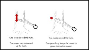 How To Rappel From A Tree: Illustrated Guide • Climb Tall Peaks