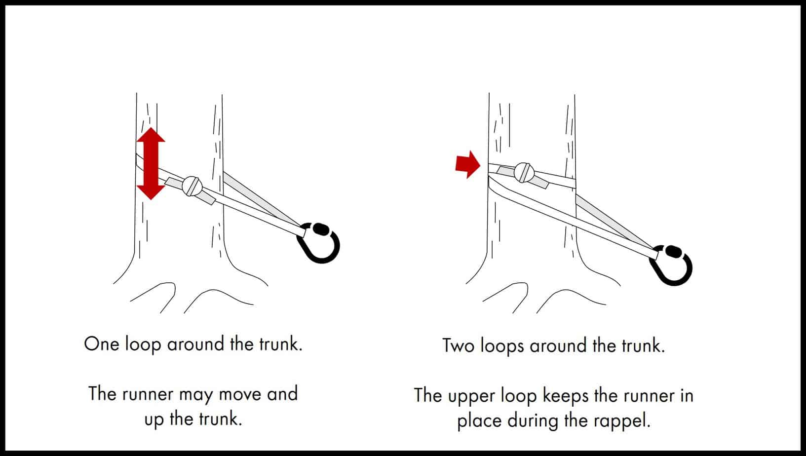 How To Rappel From A Tree Illustrated Guide • Climb Tall Peaks