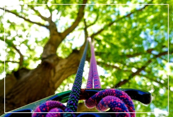 How To Rappel From A Tree: Illustrated Guide • Climb Tall Peaks