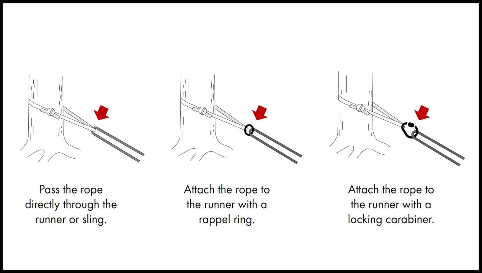 How To Rappel From A Tree Illustrated Guide • Climb Tall Peaks
